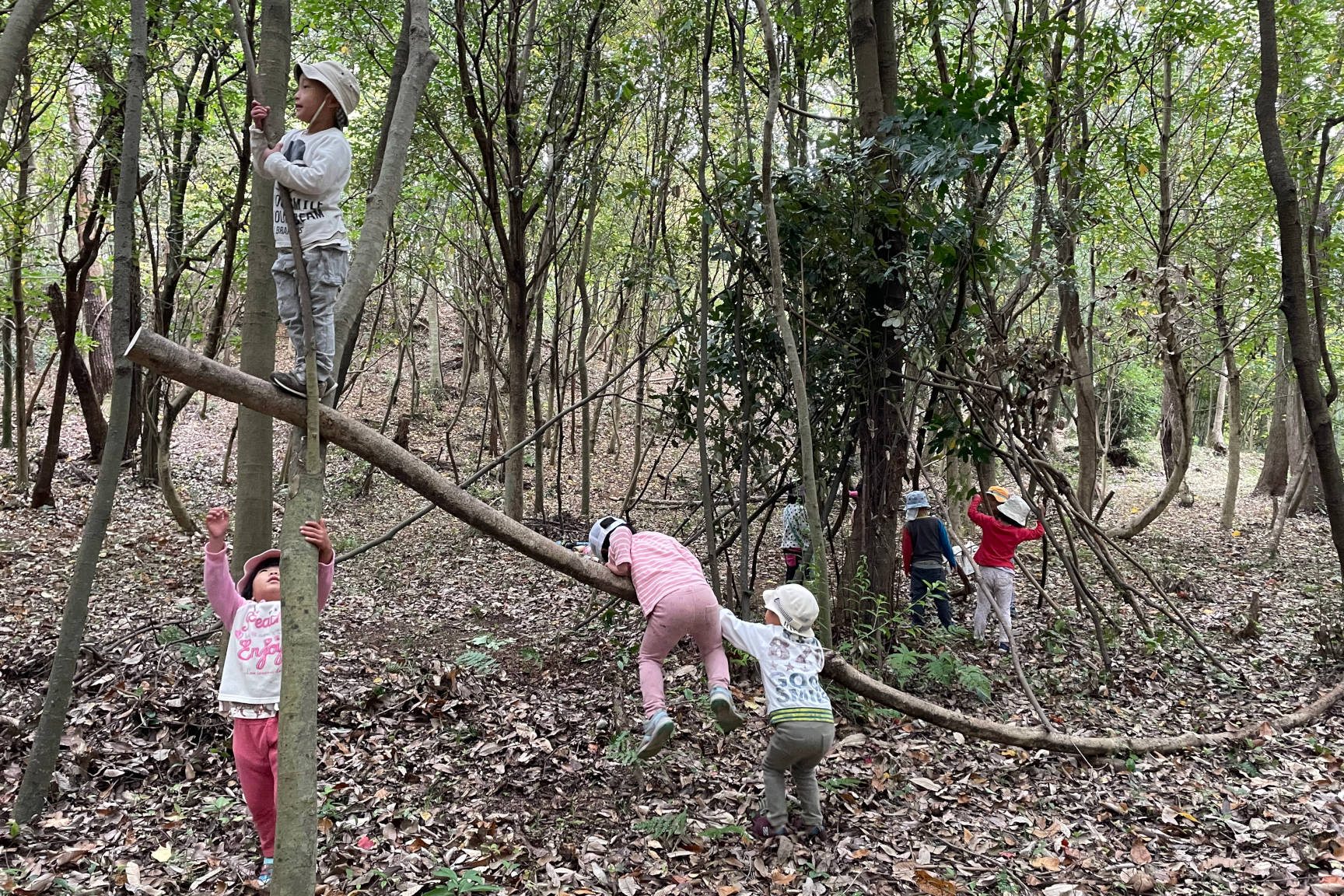 裏山を探検、体を動かして遊ぶ子どもたち